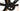 Ridley Noah Fast 3.0 2025 - Shimano Ultegra Di2 2x12sp - DT Swiss ARC 1400