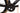 Ridley Noah Fast 3.0 2025 - Shimano Ultegra Di2 2x12sp - DT Swiss ARC 1400