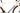 Bianchi Sprint 2024 - Shimano 105 Di2 2x12sp - Velomann V30R