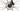 Guerciotti E740 Disc 2025 - Shimano Ultegra - Vision Team AGX i23