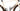 Specialized S-Works Tarmac SL6 AXS 12V 2021 - SRAM Red AXS - Roval Rapide CLX 50