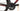 Specialized Tarmac 2016 - Shimano Ultegra - Roval Rapide CLX 40
