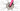 Specialized Crux Elite 2019 - SRAM Rival - Aluminium