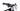 Focus Jam 8.8 2024 - Sram NX - Focus