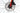 Bottecchia 8Avid Ultimate 2023 - Shimano 105 Di2 2x12sp - Fulcrum Racing 800
