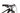 Scott Ransom Tuned 2024 - Shimano XTR - Reynolds Blacklabel
