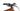 Centurion No Pogo F2000i 2025 - Shimano XT - Procraft Altitude