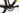 Cannondale SuperSix EVO CX 2024 - SRAM Force - DT Swiss R470