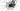 Scott Spark RC SL 2025 - SRAM XX SL AXS 1x12sp - Syncros Silverton 1.0