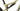 Orbea OIZ M30 2021 - Shimano XT - DT Swiss X-1900 Spline 25c TLR 15/110mm CL