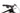 Specialized S-Works Kenevo SL 2021 - SRAM XX1 AXS 1x12sp - Roval Traverse SL