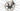 Ridley FALCN RS 2024 - Sram Red eTap AXS 2x12sp - Forza Vardar DB