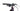 Specialized Turbo Como 4.0 2024 - Shimano Deore - Aluminium