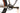 Wilier 110FX XX1 2021 - SRAM XX1 - Carbon