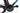 Berria Belador 2024 - SRAM Force AXS - Campagnolo Scirocco
