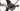 BH Ultralight EVO 9.5 2022 - SRAM Red AXS 2x12sp - DT Swiss ERC 1100