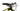 Scott Scale 930 2020 - SRAM NX - Syncros X25