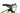 Scott Scale 930 2020 - SRAM NX - Syncros X25