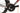 Mendiz F9.05 Di2 12V 2023 - Shimano 105 Di2 - Mavic Cosmic SL 45