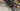 Specialized S-WORKS Epic WC 2024 - SRAM XX SL Eagle 1x12sp - Roval Control SL