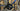 Specialized S-Works Tarmac SL8 2025 - Shimano Ultegra Di2 - Roval Rapide CLX II