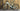 Canyon Pathlite:ONfly 8 LTD - Shimano Deore XT M8100