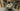 Lightweight Meilenstein Rim - Lightweight Meilenstein Tubolari