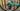 Bianchi Specialissima RC - Shimano Ultegra Di2 2x12sp - Reparto Corse 33R