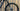 Specialized Turbo Levo Comp Alloy