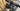 Focus Jam2 9.8 Nine TEC Pack - Sram XX1 AXS 1x12sp - Mavic Deemax 29