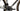 Ridley Helium SLX 2025 - SRAM RED AXS 2x12sp - 4ZA (Forza) Levanto DB (Black Label)