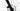 Ridley Kanzo Adventure Alu 2026 - Shimano GRX600 - DT Swiss G1800 Spline