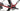 Factor Aluto 2026 - SRAM Force XPLR eTap AXS 1x13sp - Black Inc THIRTY FOUR