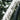 Eddy Merckx Mendrisio 105 2x12v 2025 - Shimano 105 - Forza Norte db Forza 3 Beaufort