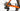 Ridley Astr 2025 - SRAM Rival AXS XPLR 1x13sp