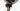 Wolfbike Saturnus 29 2023 - SRAM SX Eagle 1x12sp - BlackJack Ready 27