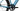 TENWAYS CGO800 Plus 2025 - Shimano Claris 8 speeds - Aluminum rims 700C