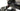 Ridley Falcn RS 2023 - SRAM Rival AXS 2x12sp