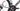 Eddy Merckx 525R 2025 - Shimano Ultegra Di2 2x12sp - Forza Skiron50 DT Swiss 370