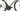 Pinarello X1 105 2x12v 2025