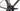 Ridley Astr 2025 - Shimano GRX600 - DT Swiss G Classic