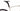 Pinarello X1 105 2x12v 2025