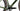 Ridley ASTR RS 2025 - Sram Force XPLR 1x12sp - DT Swiss GRC1600 50mm profile 24mm internal width