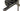 Ridley Grifn GRX800 11v 2025 - Shimano GRX800 Di2