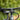Ridley RES U800 2025 - Shimano Deore 10 Speed