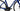 Pinarello F1 2025 - Shimano 105 2x12sp - Shimano RS-171