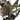 Ridley Kanzo Adventure GRX Classified 2025 - Shimano GRX Di2