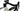 Ridley Astr RS 2026 - Shimano GRX800 Di2