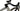 Eddy Merckx 525 2024 - SRAM Force AXS 2x12sp