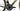 Ridley Grifn RS 2025 - SRAM Force AXS 2x12sp - DT Swiss ERC 1400 DICUT 35